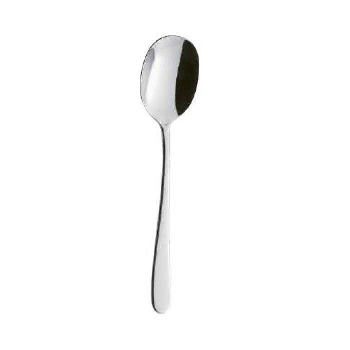 SALAD SPOON (1)