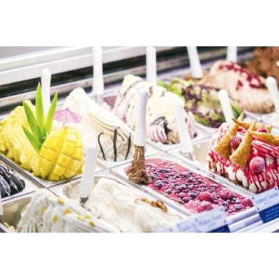 ICE CREAM FREEZER INSERT